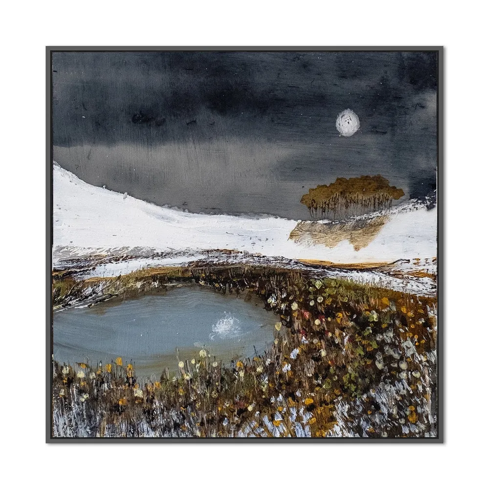 A Tranquil Moon , By Louise O'hara