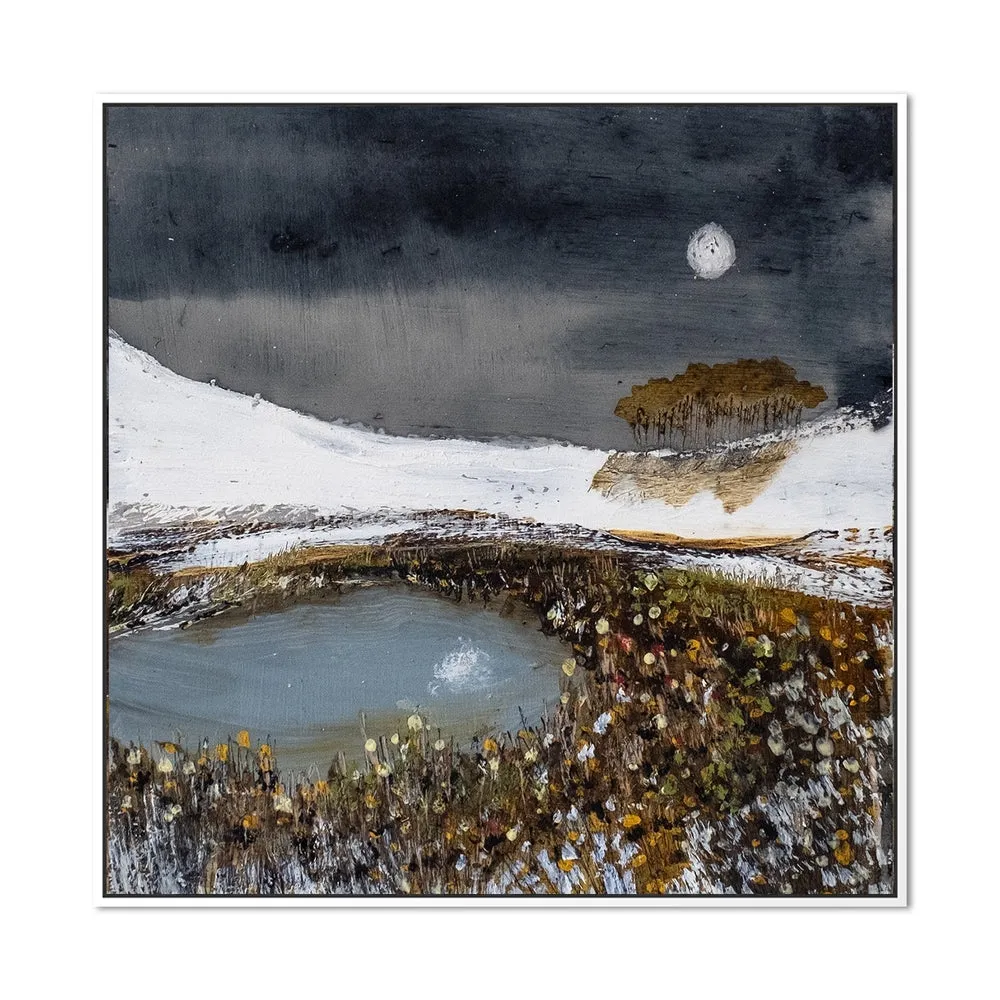 A Tranquil Moon , By Louise O'hara