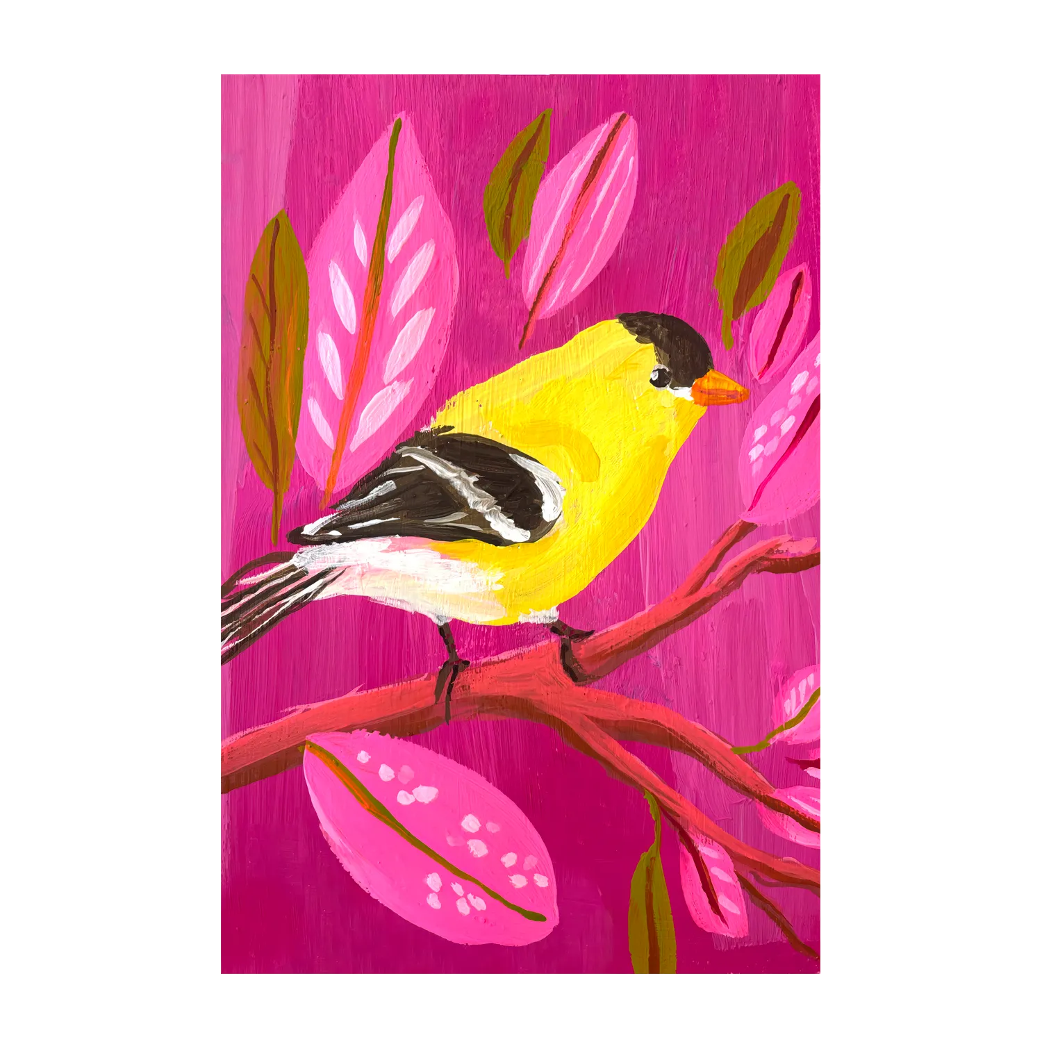 American Goldfinch , By Kelly Angelovic