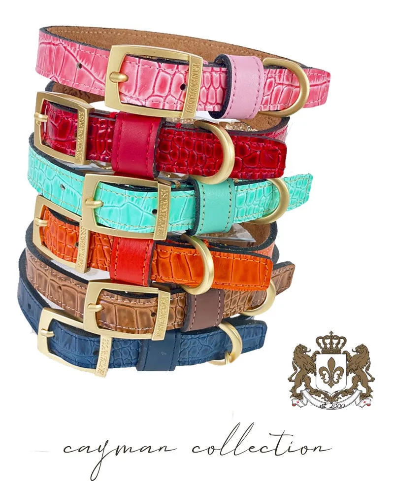 Cayman Dog Leash in Rich Brown