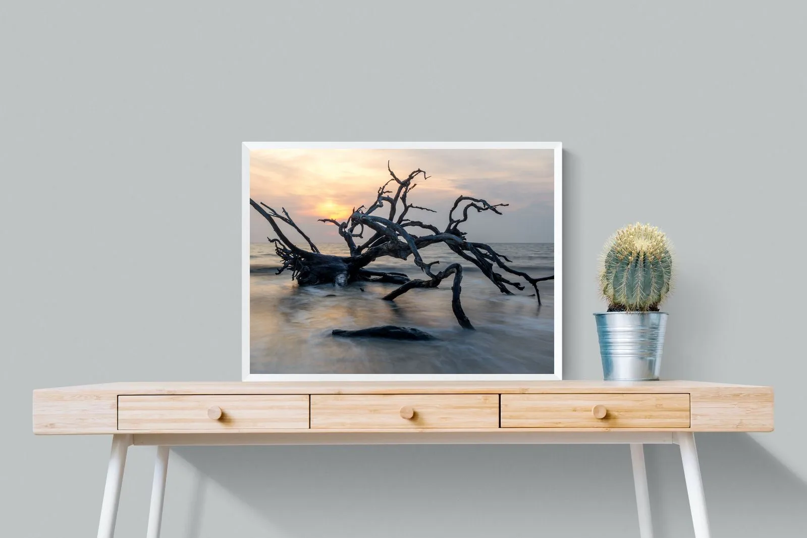 Driftwood Sunrise