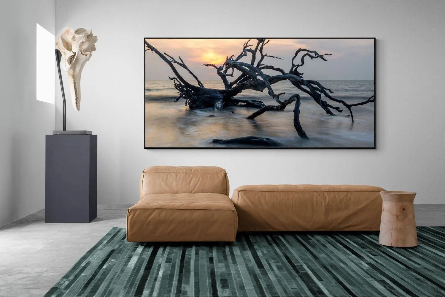 Driftwood Sunrise