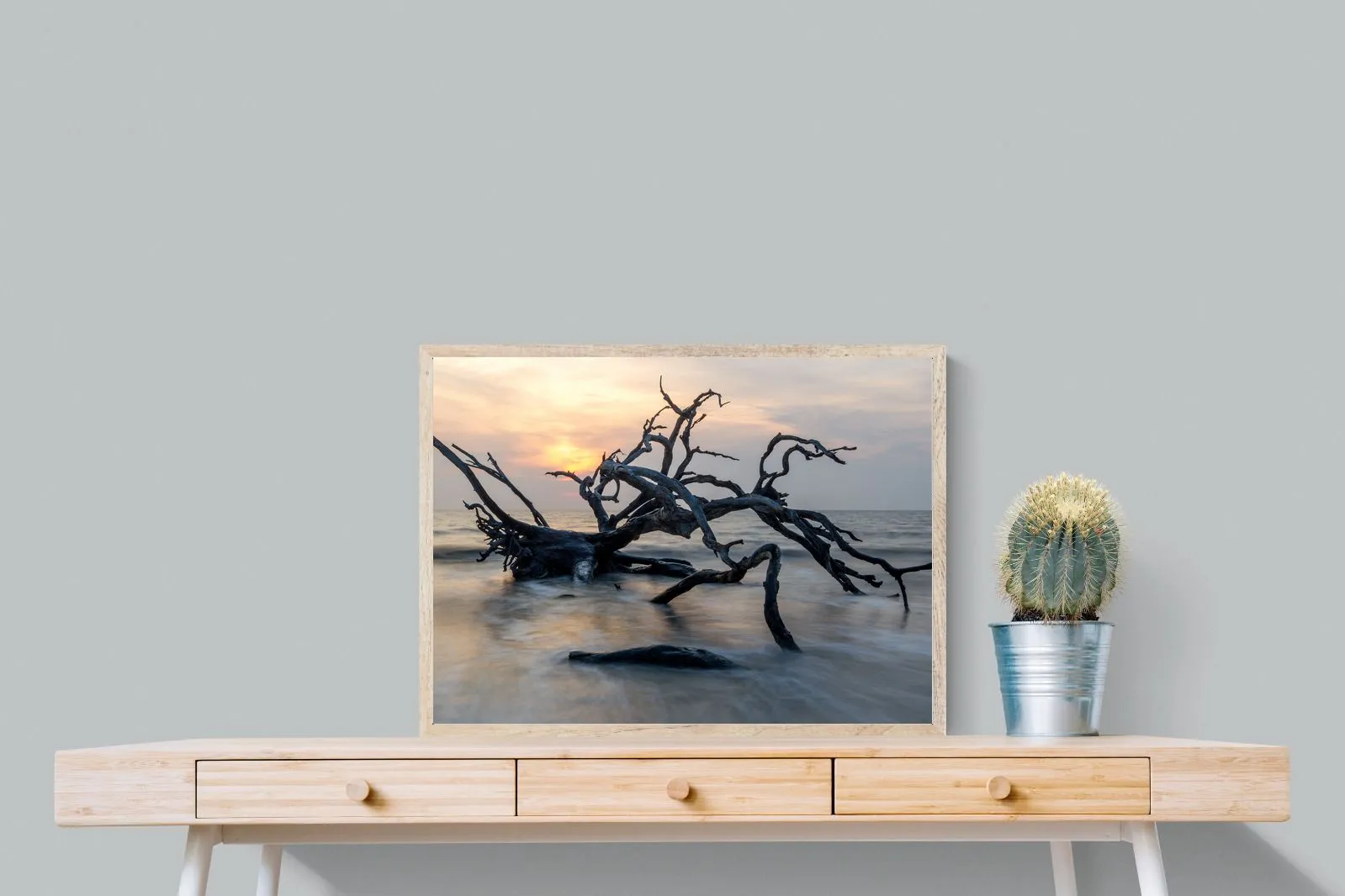 Driftwood Sunrise