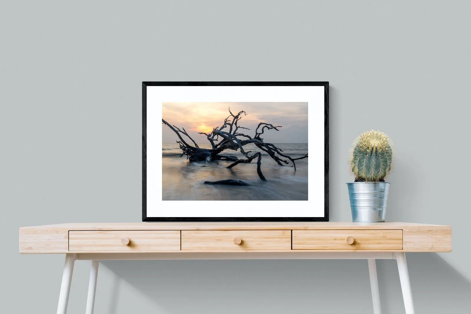 Driftwood Sunrise