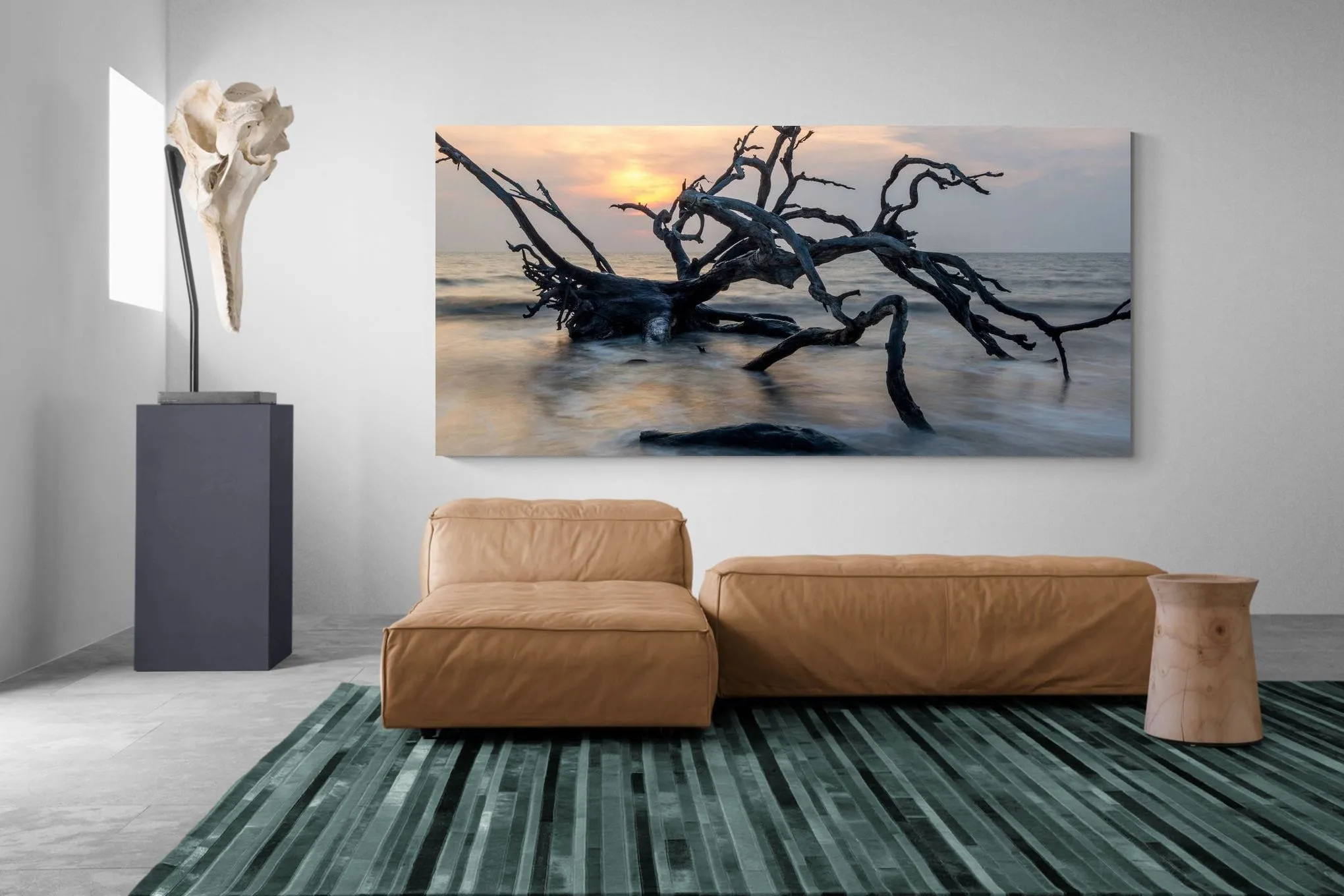 Driftwood Sunrise