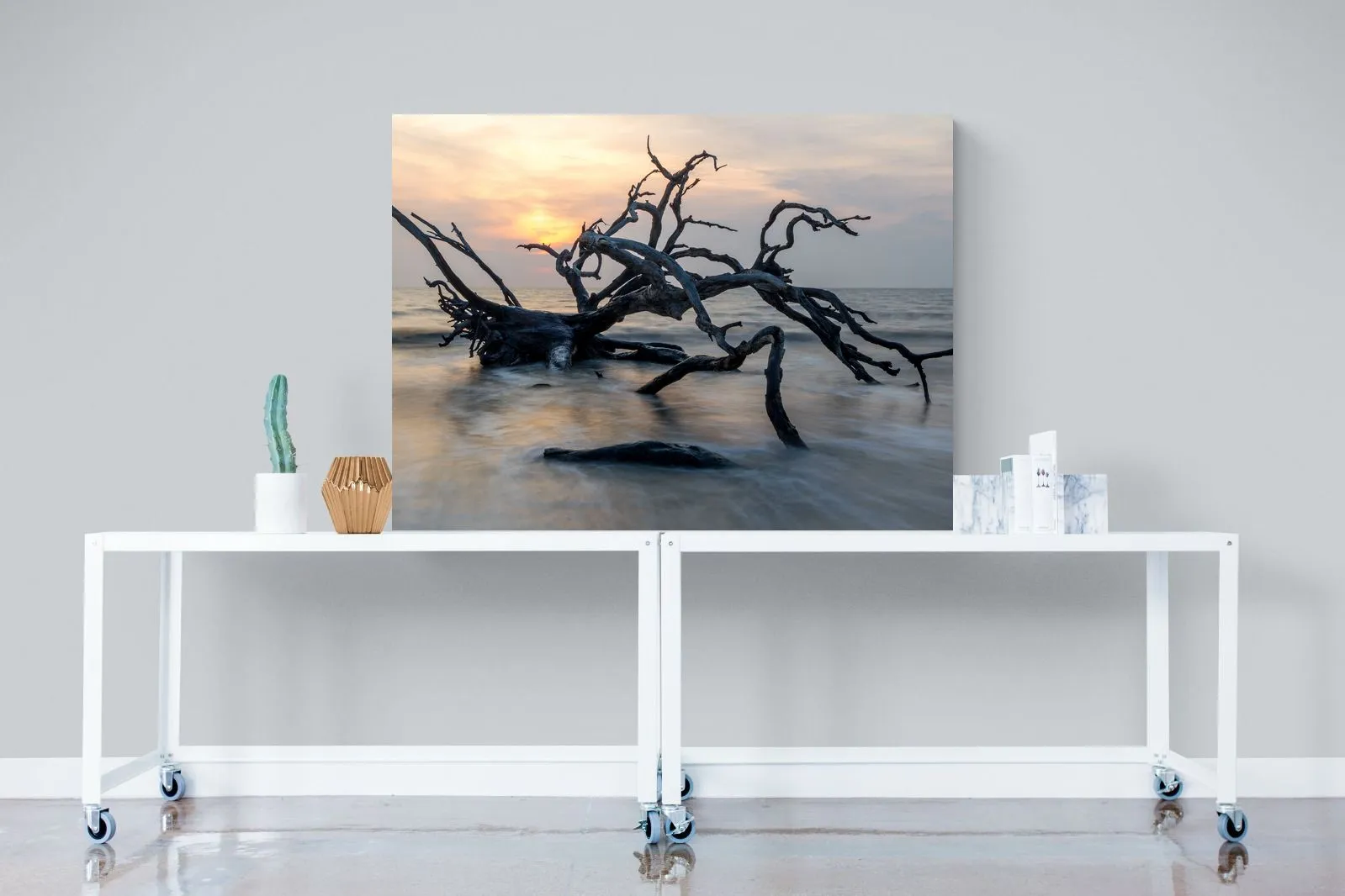 Driftwood Sunrise