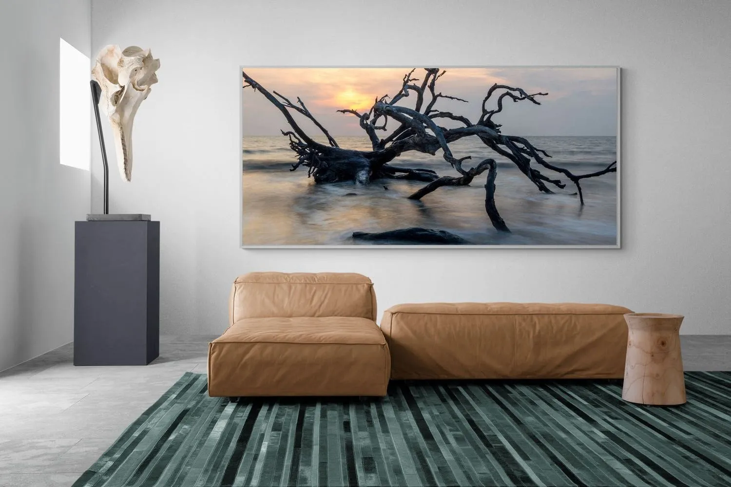 Driftwood Sunrise
