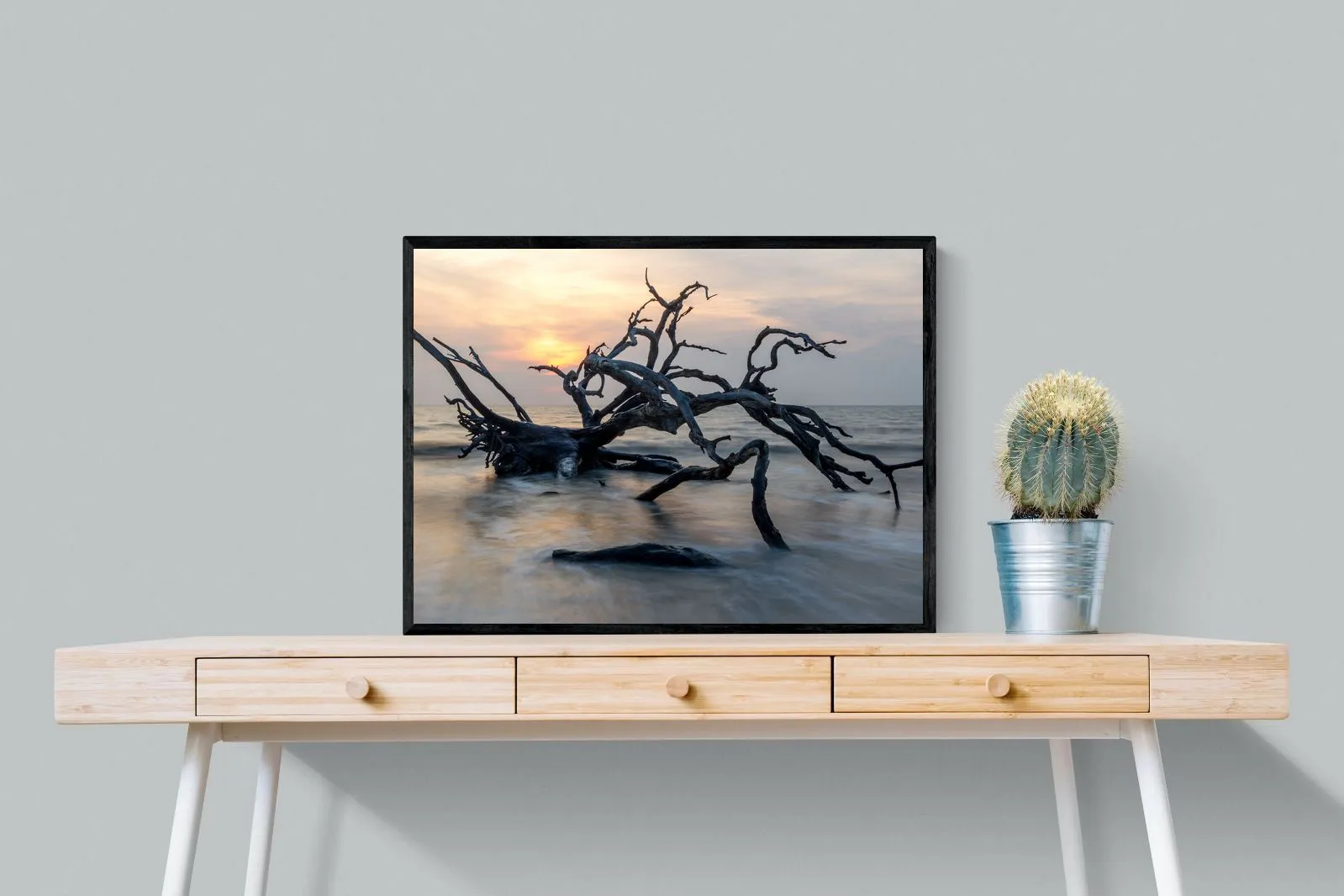 Driftwood Sunrise
