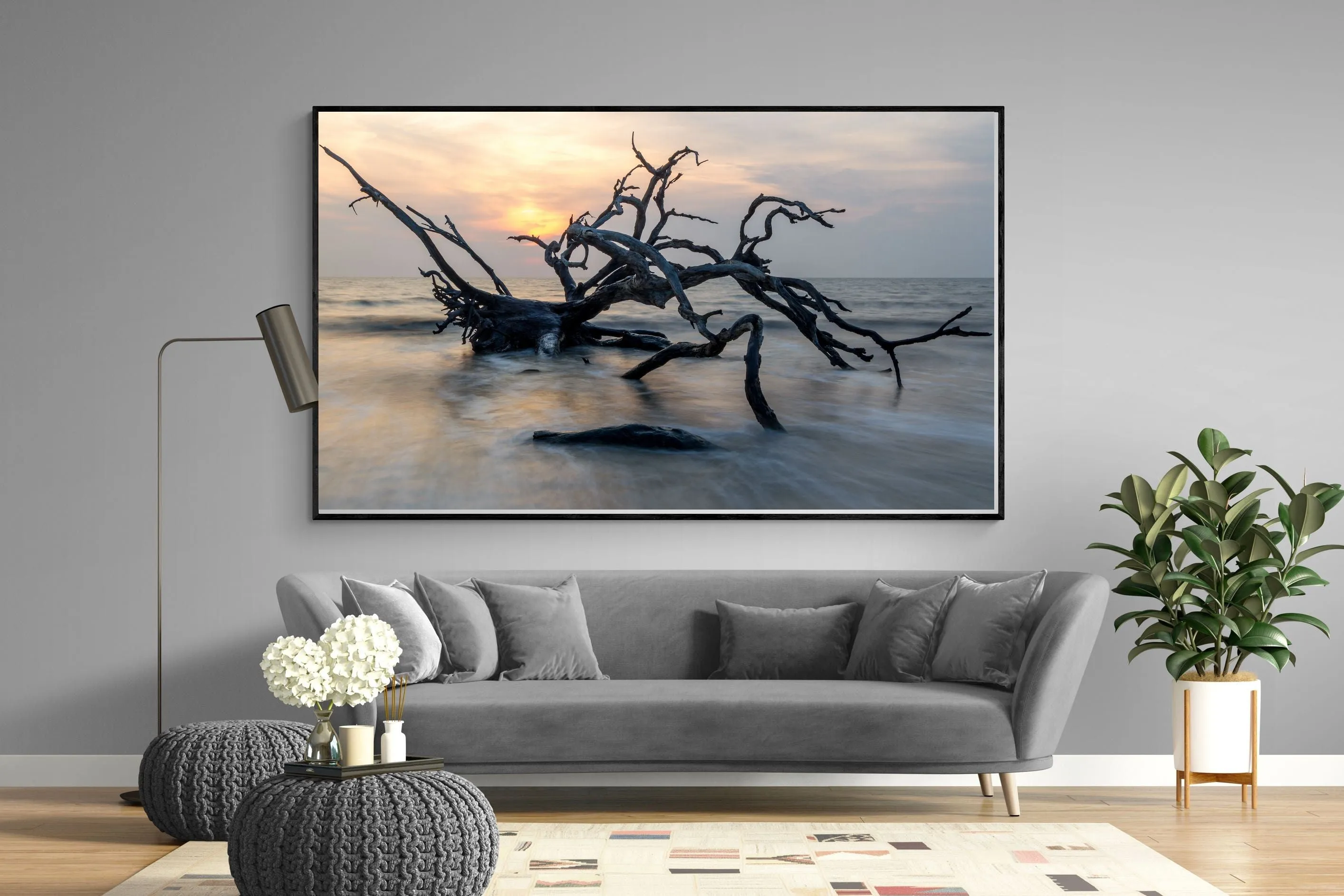 Driftwood Sunrise