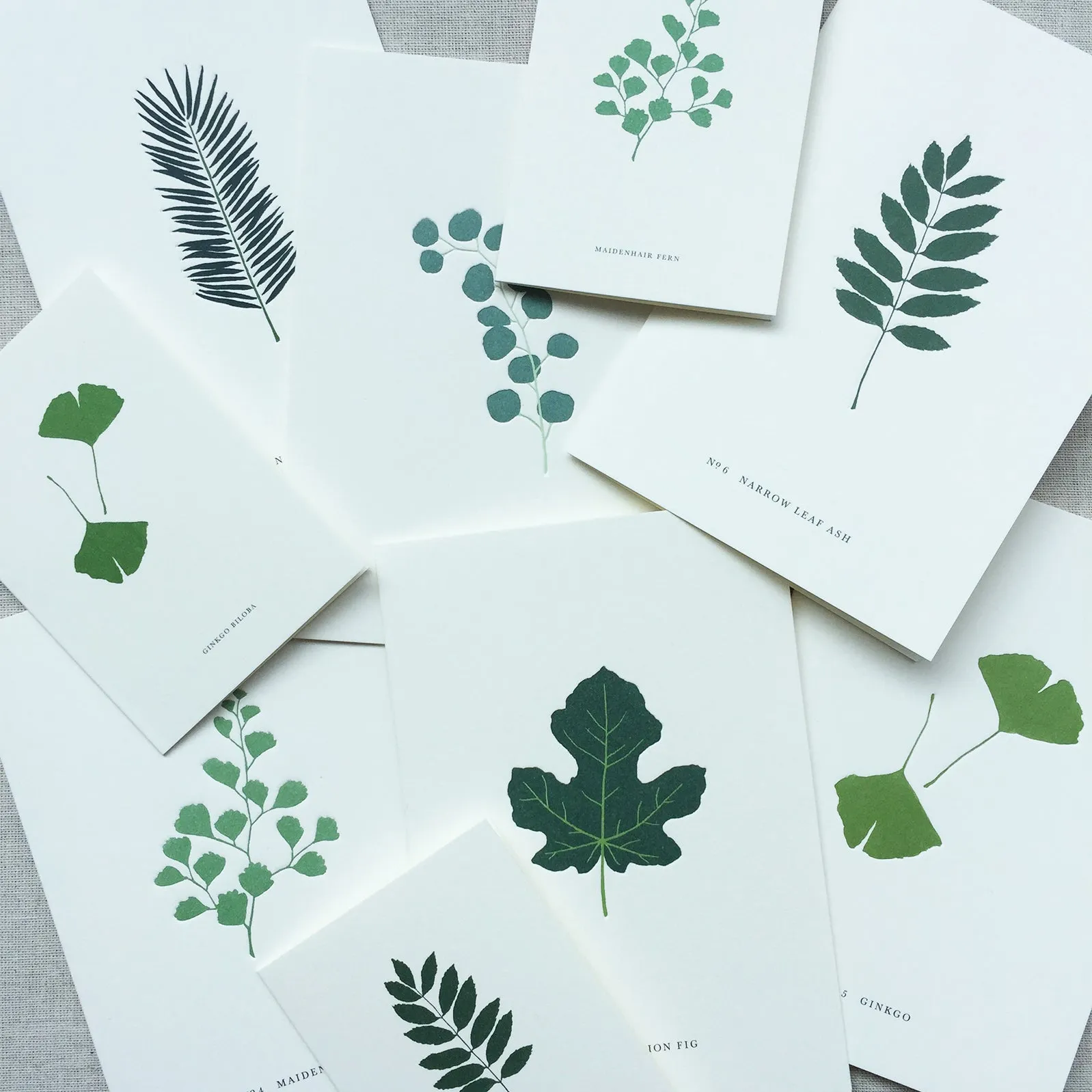 GREETING CARD // PALM