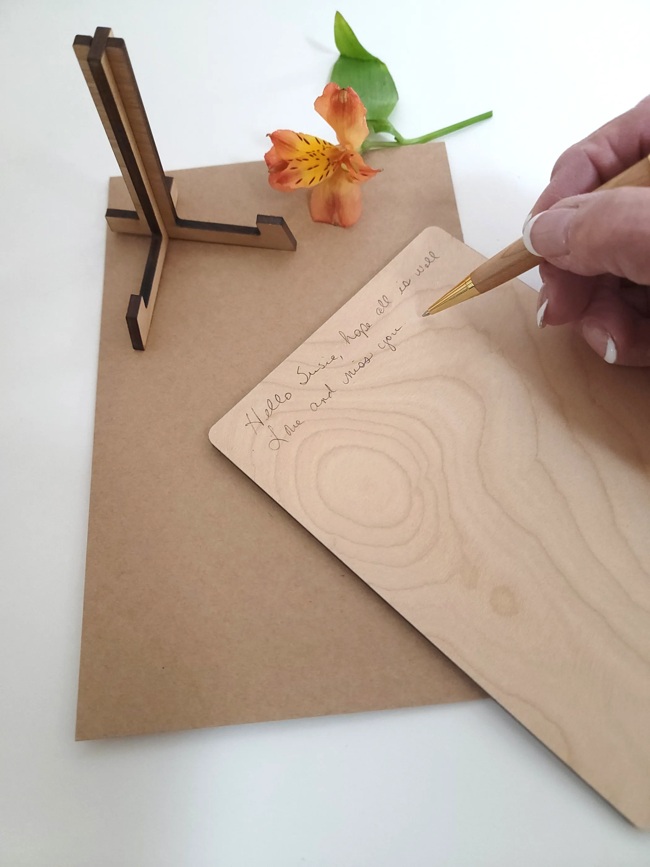 Hawk over Mountains Birthday Card