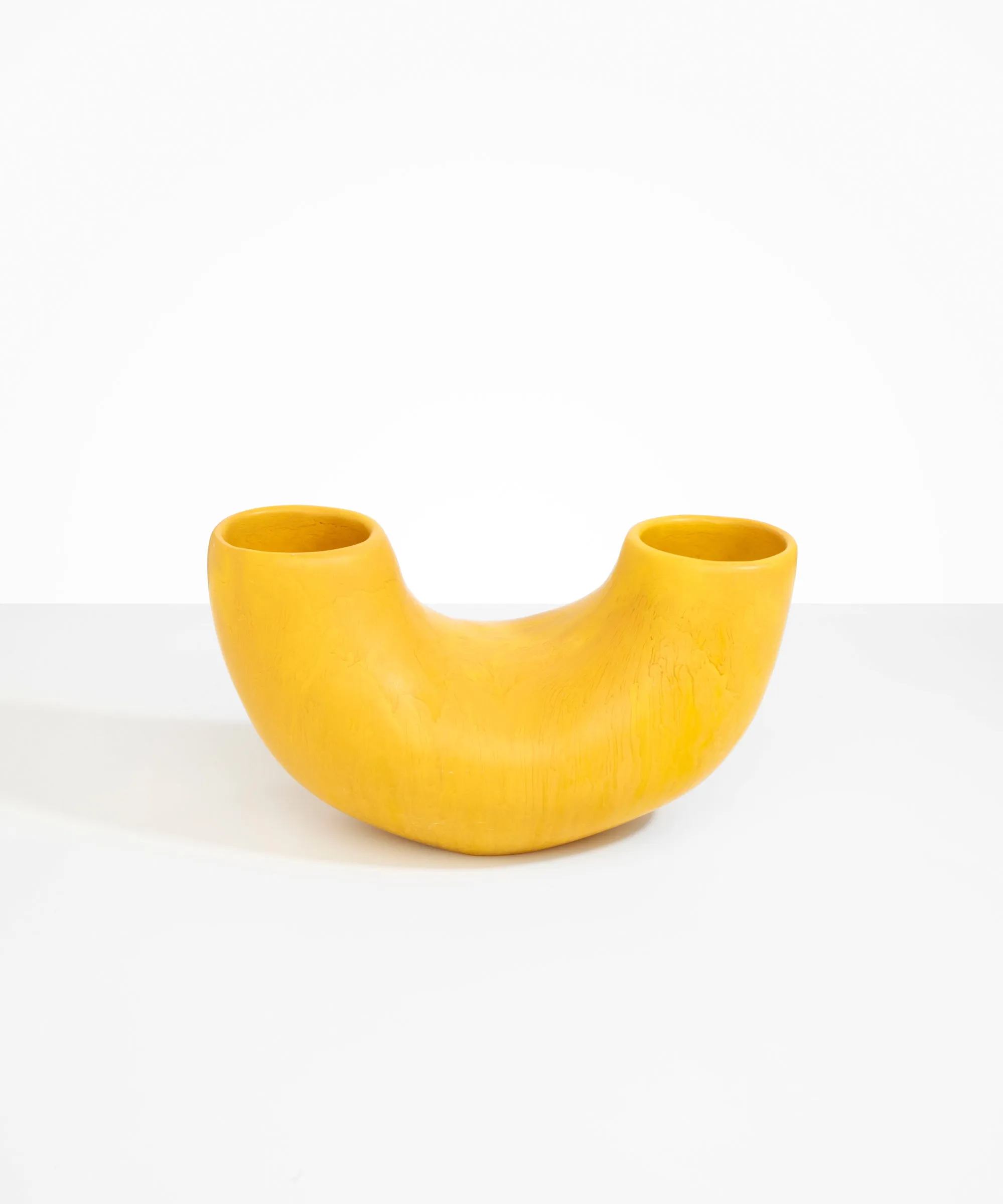 Large Horn Vase