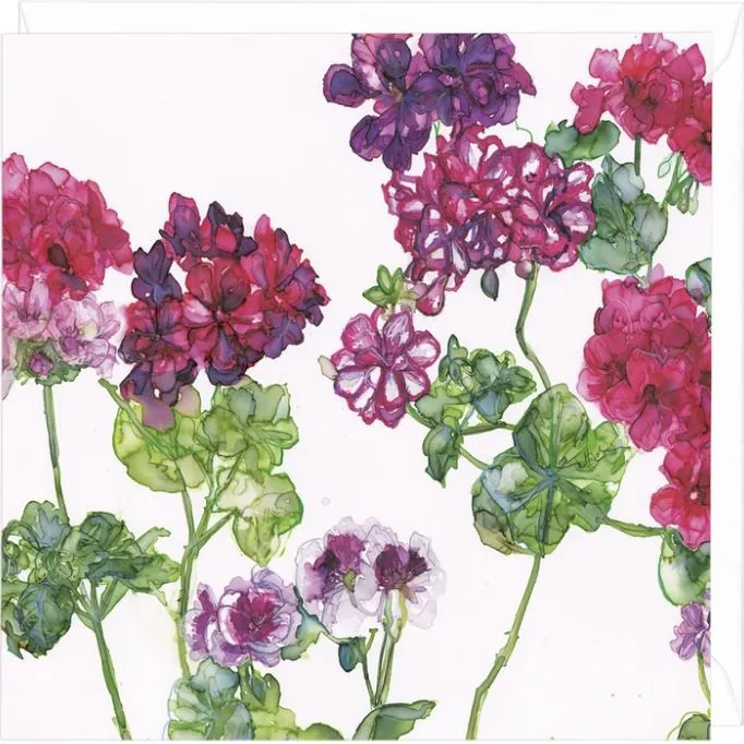"Geraniums and Pelargoniums" Greeting Card