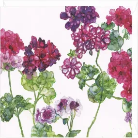"Geraniums and Pelargoniums" Greeting Card