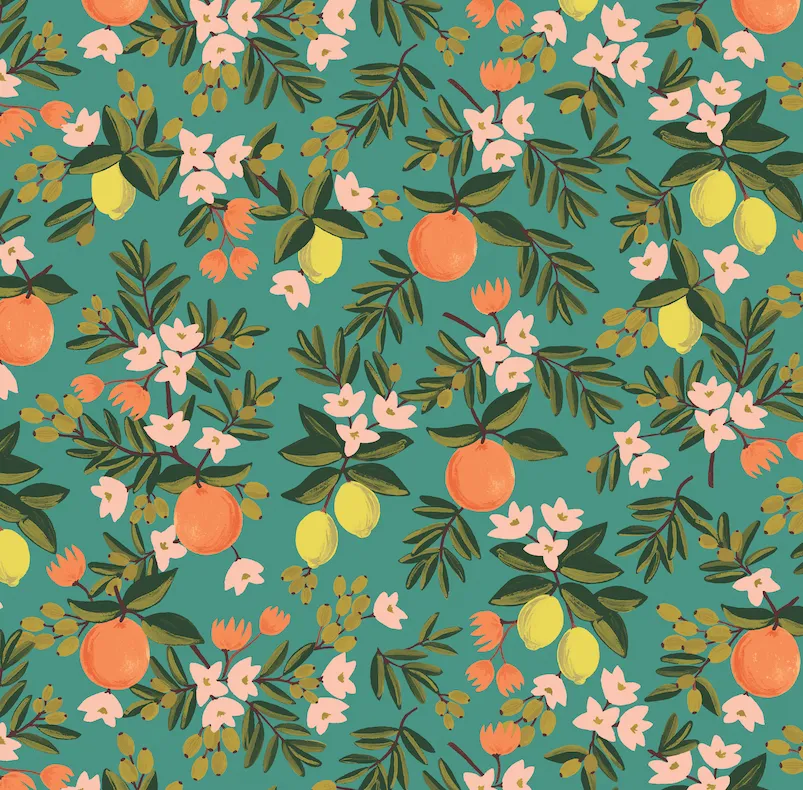 Rifle Paper Co. x TFD Citrus Floral Collar Walk Set